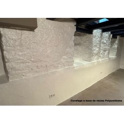 Cuvelage mur enterré