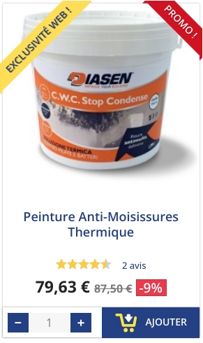 peinture anti-moisissure thermique